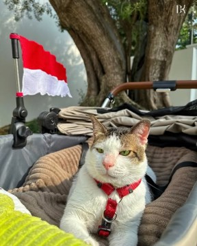 Bobby Kertanegara dengan stroller dan merah putih. (Instagram)